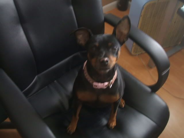 [Image: DSCF1130.jpg]