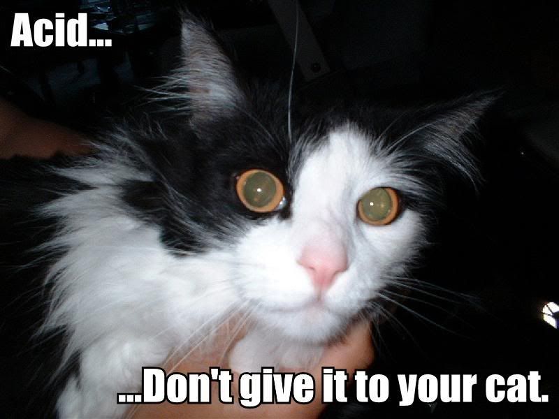 [Image: acid-dont-give-it-to-your-cat.jpg]