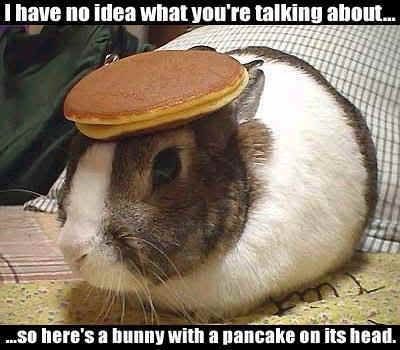 [Image: bunny_pancake.jpg]