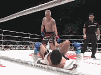 [Image: chomp2eoqi2.gif]