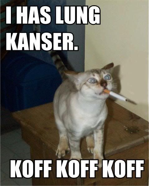 [Image: i-has-lung-kanser-koff-koff-koff.jpg]