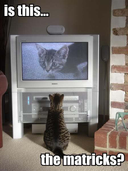 [Image: is-this-the-matricks.jpg]