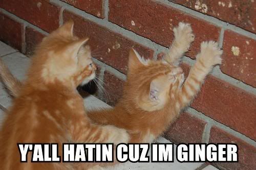 [Image: up_against_the_wall.jpg]