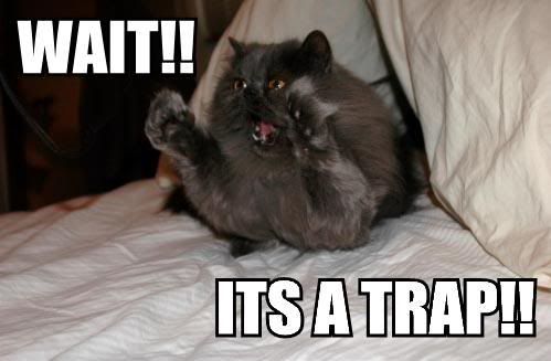 [Image: wait-its-a-trap.jpg]