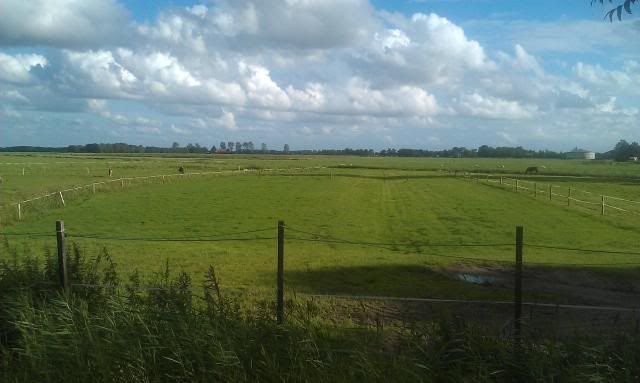 IMAG0188.jpg