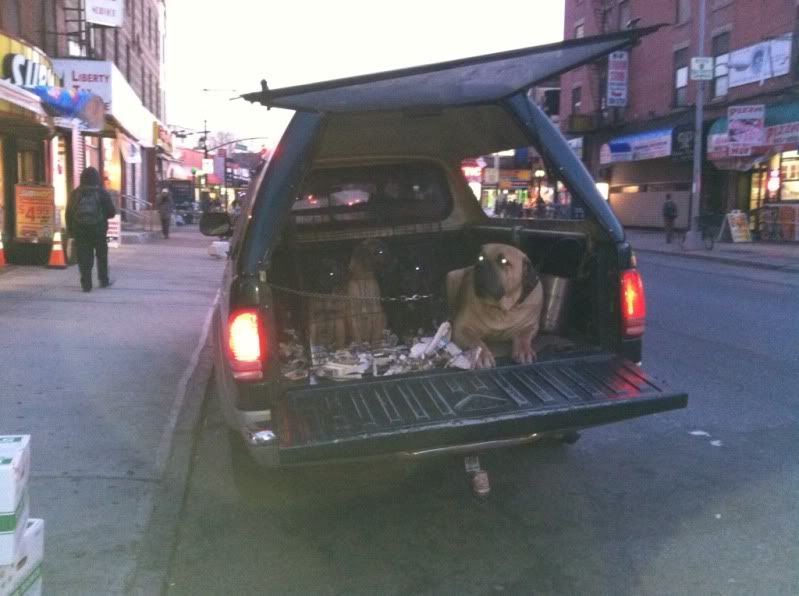 Uploaded from the Photobucket iPhone App