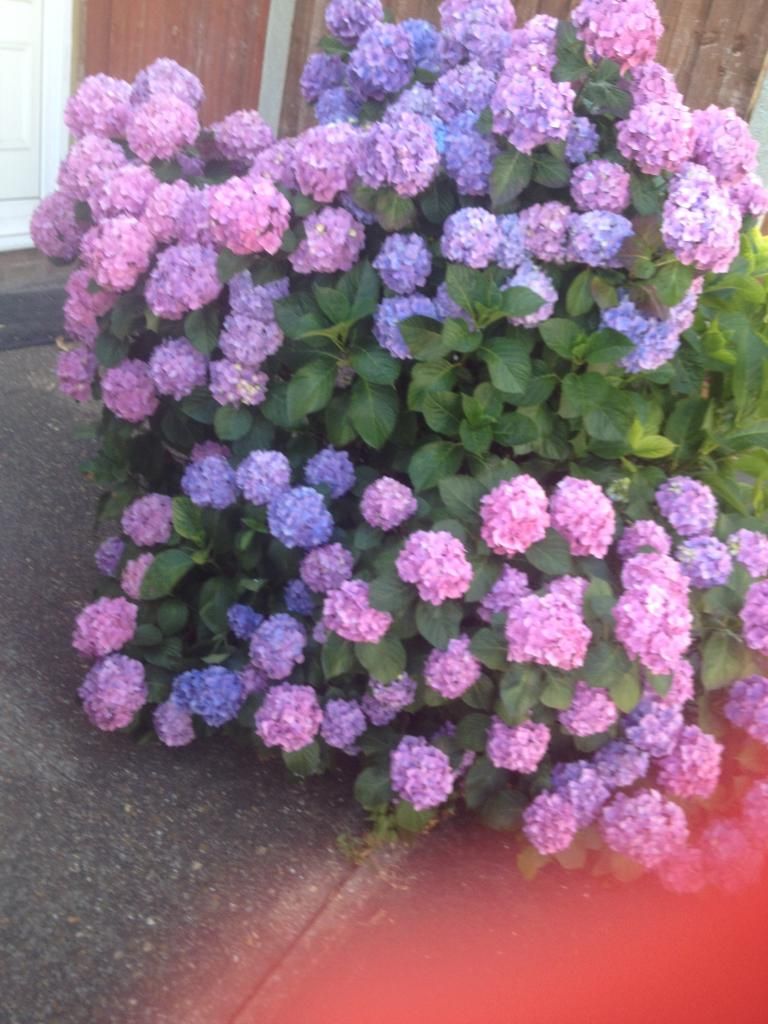 4F885EFB-5C6A-4C51-AA77-B76DDE902BBB.jpg