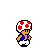 Toad
