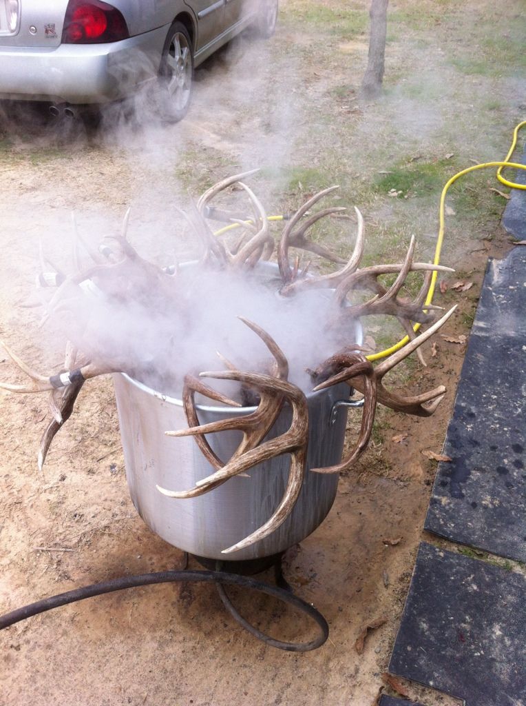 My diy buck boiler Page 2 Archery Talk Forum