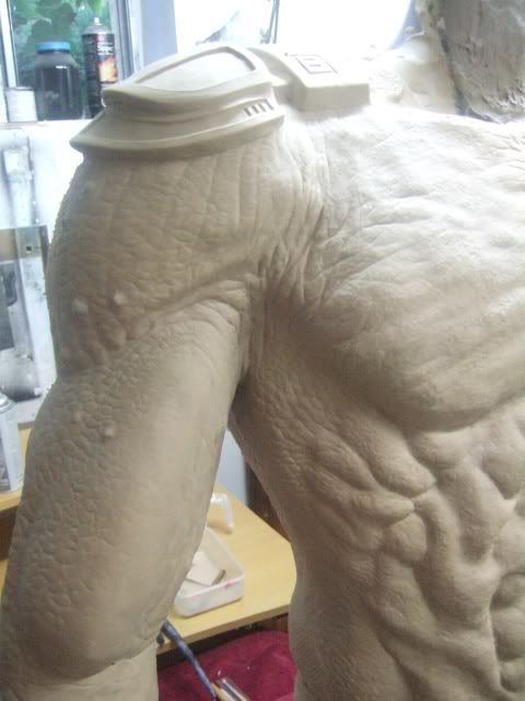 Torso25.jpg