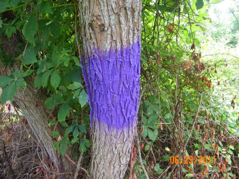 Land Owner Protection Act Will Lead To a More Colorful Fall