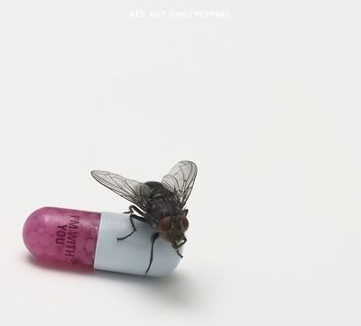 Red Hot Chili Peppers - I'm With You (FLAC) (2011)