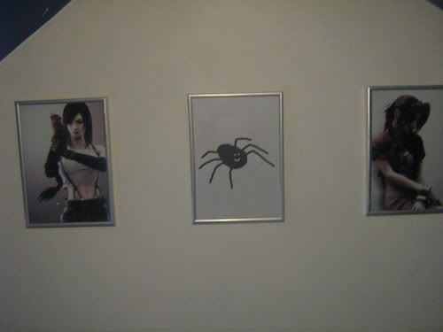 http://i2.photobucket.com/albums/y27/josephiroth/spider1.jpg
