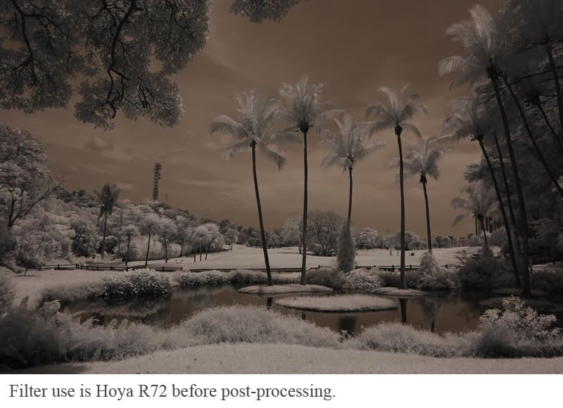 Hoya Ir Filter