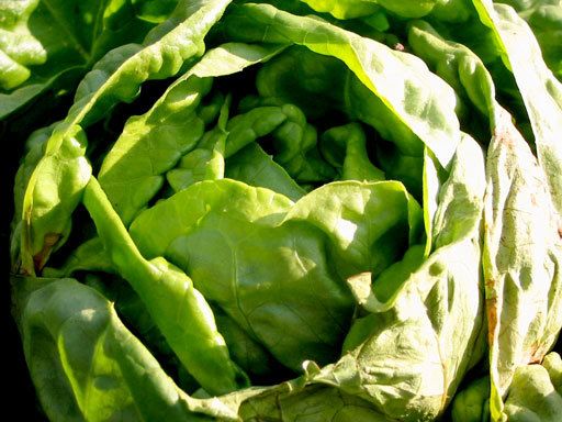 [img width=512 height=384]http://i2.photobucket.com/albums/y28/henkietrucks/sla.jpg?t=1183389394[/img]