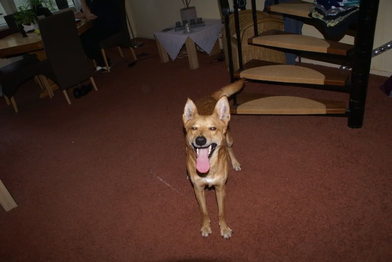 DSC03608.jpg