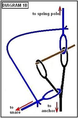 Watch out! This might be a trap! | BladeForums.com