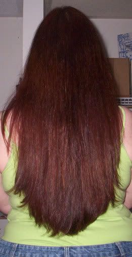 March2007hairlength.jpg