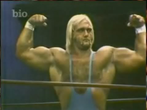 The Hulkster S Arms Seemed Even Bigger Than 24 1 2 Back In The Day Bodybuilding Com Forums