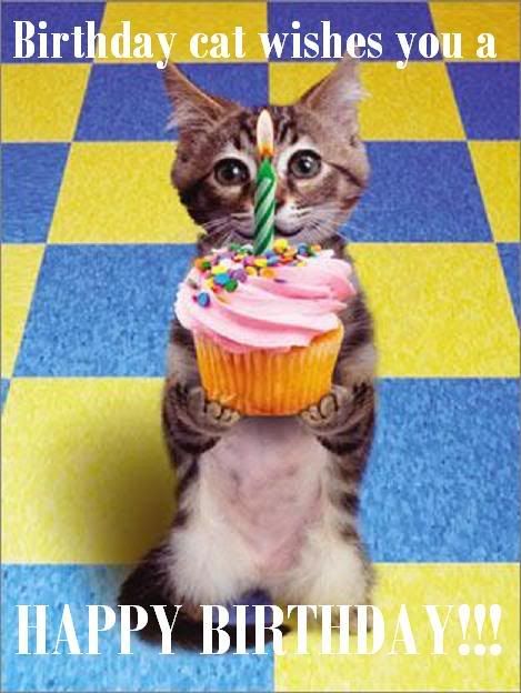 [Image: Birthday-Cat.jpg]