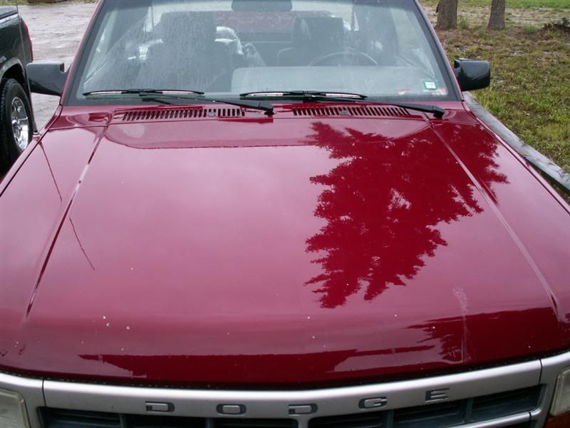 JulyDetail06022Medium.jpg