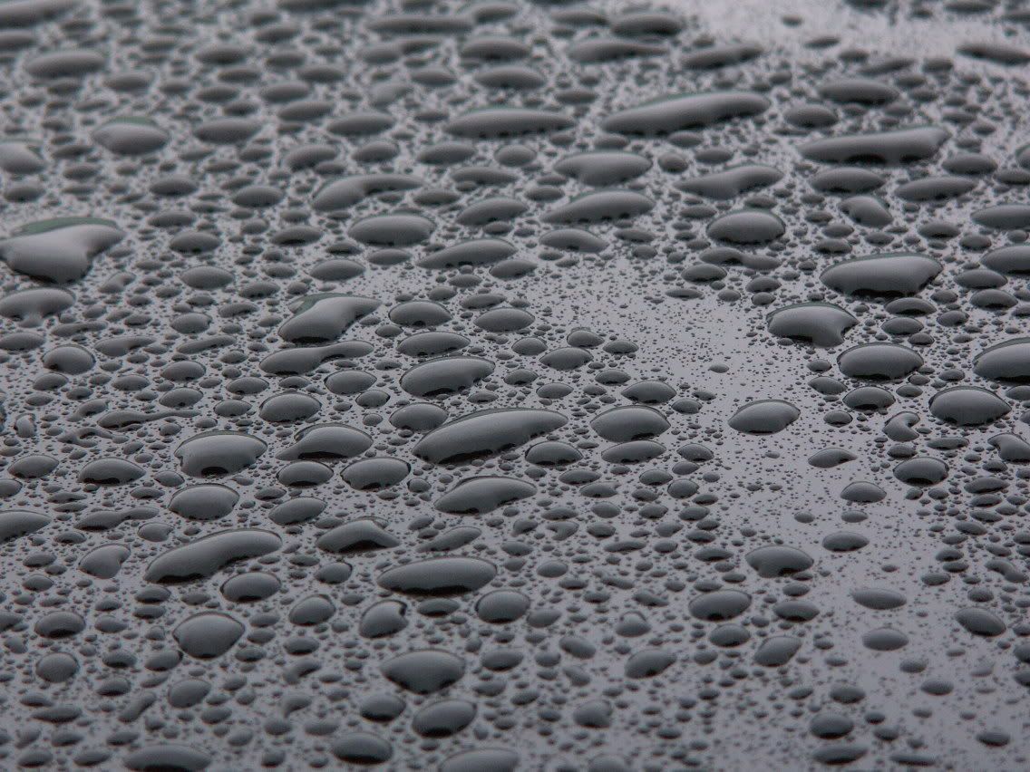 b833e7e8.jpg