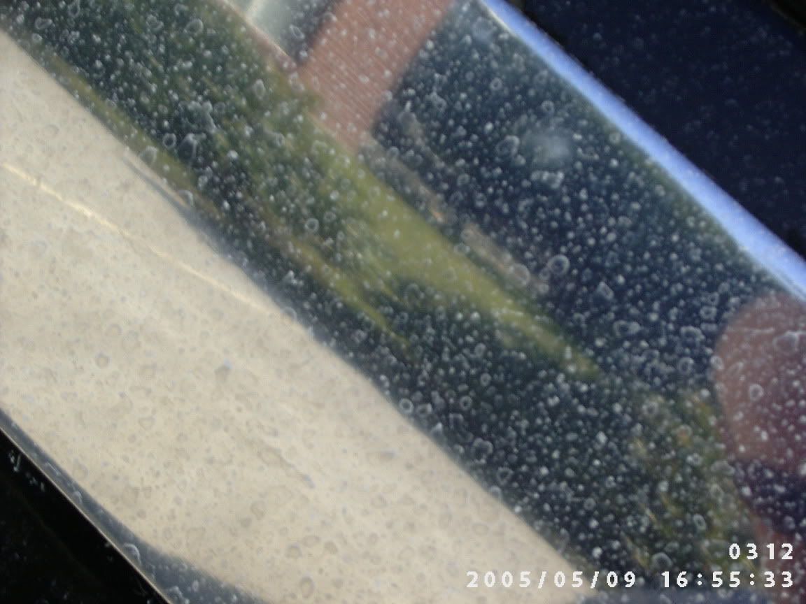 summer2005037.jpg