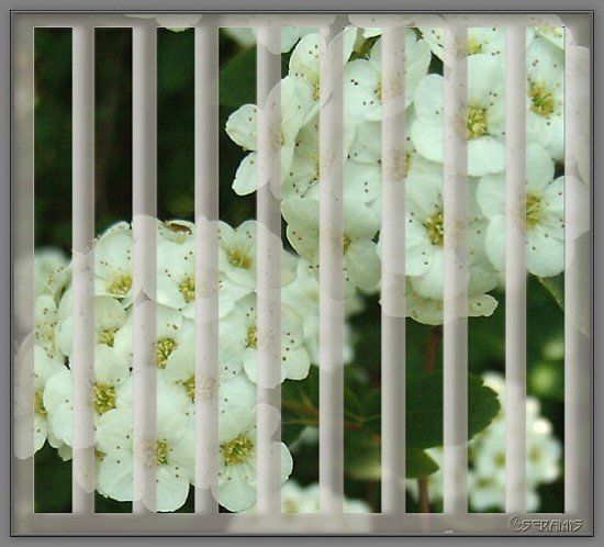 [Bild: 6d242b40.jpg]