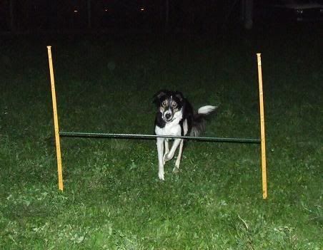 DSCF1058.jpg
