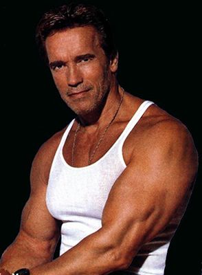 arnold-schwarzenegger-clone-movie_zpsaa01e460.jpg