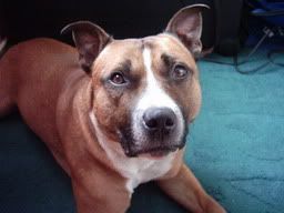 Image hosted by Photobucket.com