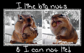 [Image: bignuts.gif]