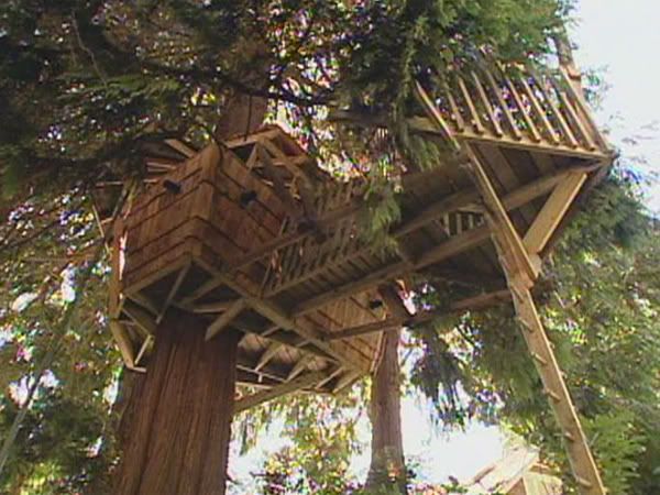 [Image: Vcrpiratetreehouse.jpg]