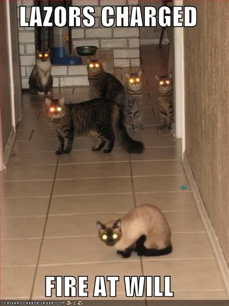 Cats-CatsWithGlowingEyesLasersCharg.jpg