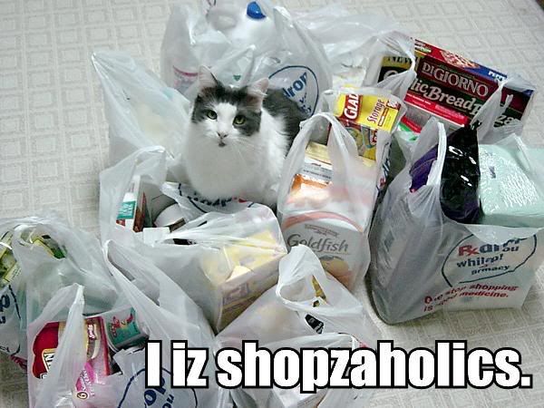 Cat - Cat Surrounded By Shopping Bags, I Am A Shopaholic