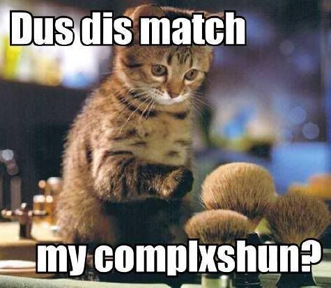 Cat - Cat With Makeup Brushes, Does It Match My Complexion