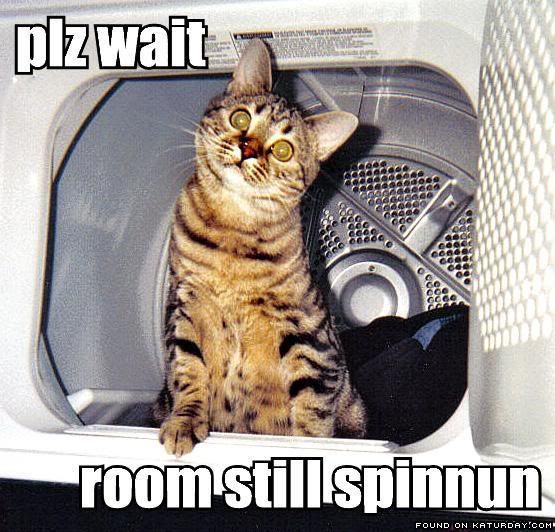 Forum Image: http://i2.photobucket.com/albums/y31/Fredcat/Cats%2006/Cat-CatInTumbleDryerPleaseWaitRoomS.jpg