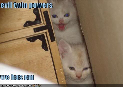 Kittens-KittensPeepingOutThroughOpe.jpg