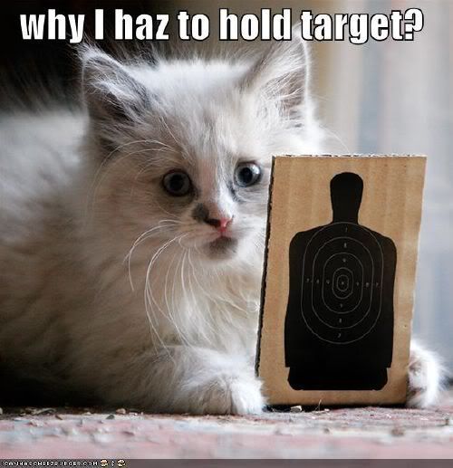 Cat Target