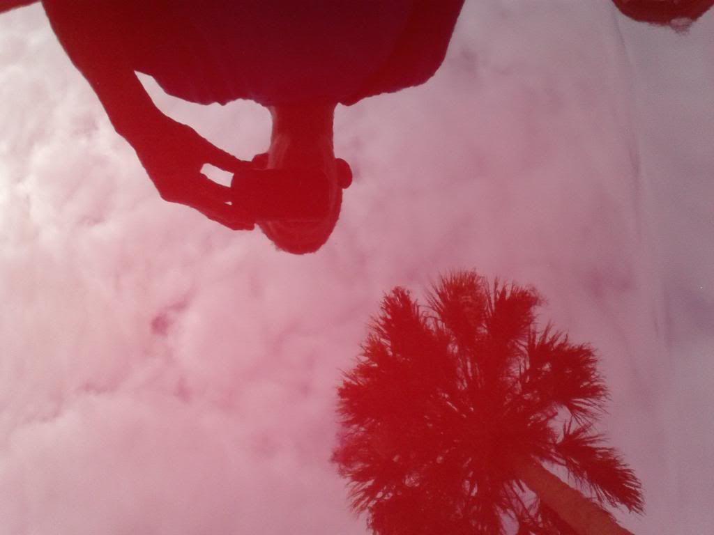 IMG_20121203_125833.jpg