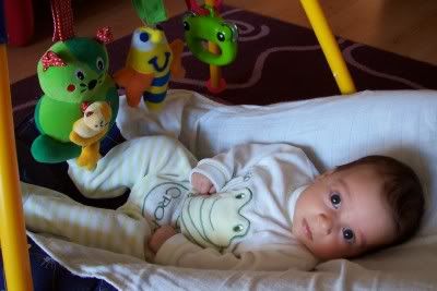 Image hosted by Photobucket.com