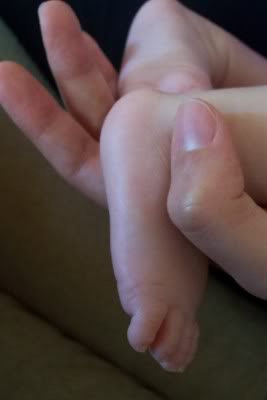 Image hosted by Photobucket.com