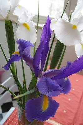 Image hosted by Photobucket.com