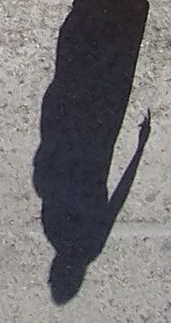 Image hosted by Photobucket.com