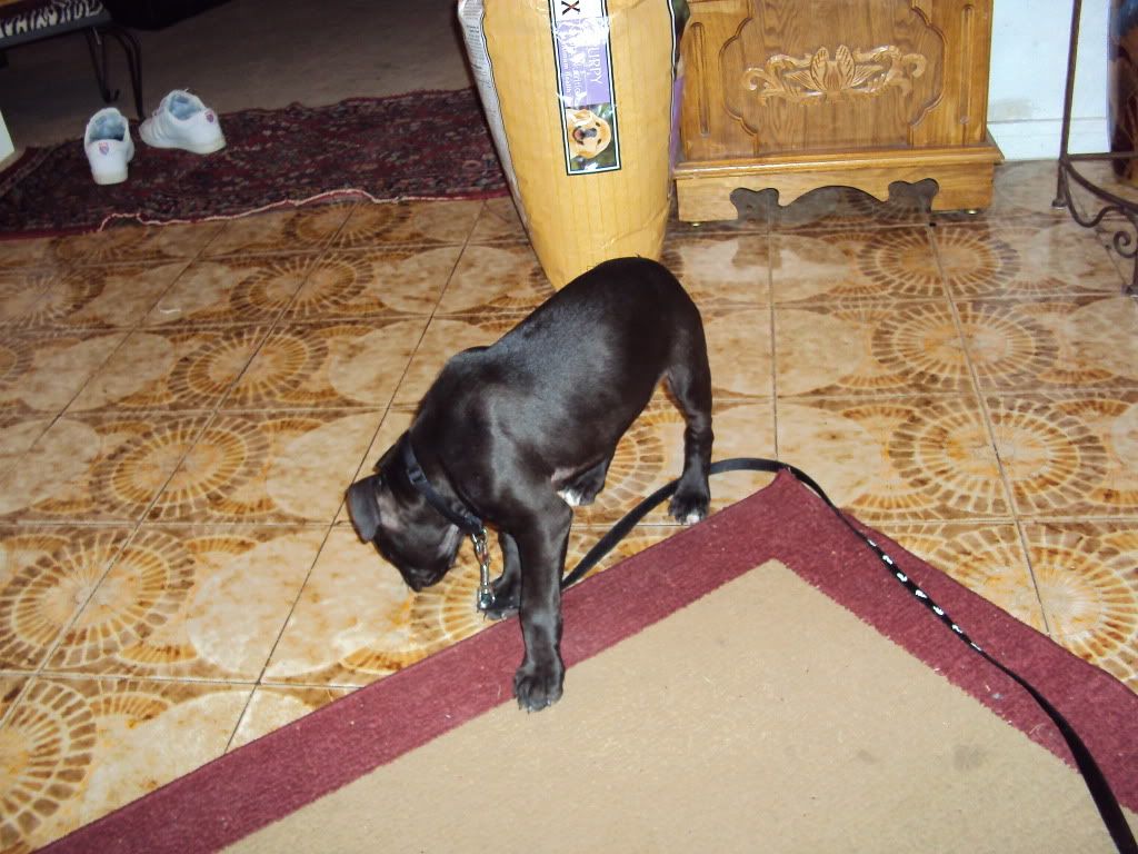 DSC00047.jpg