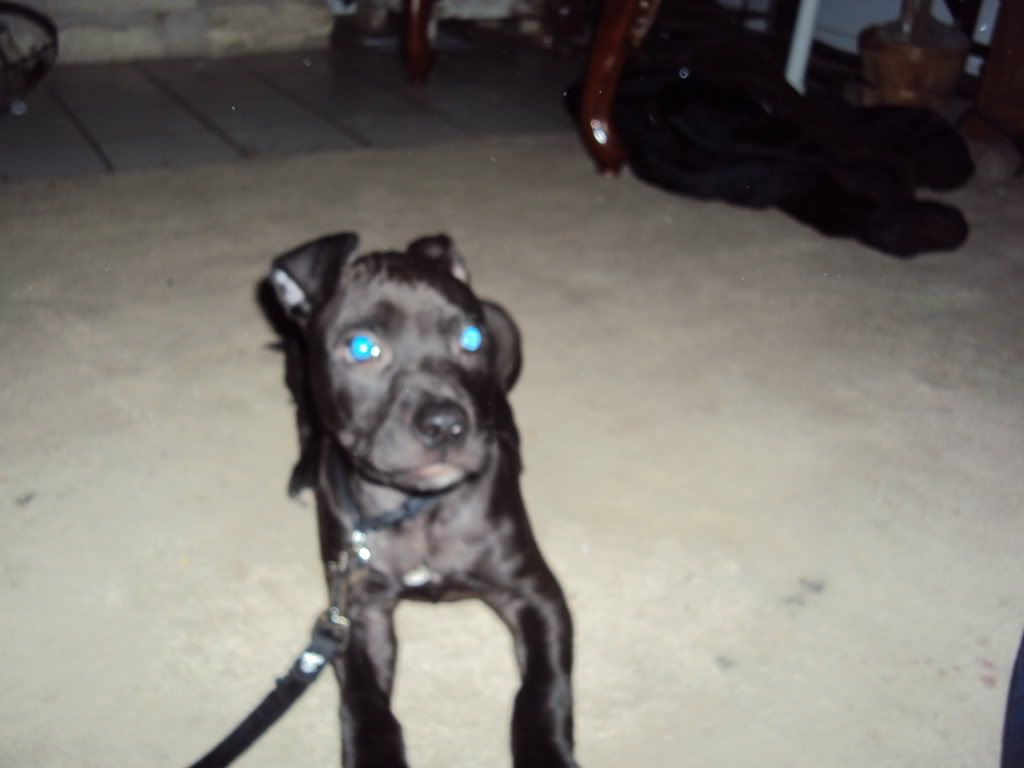 DSC00048.jpg