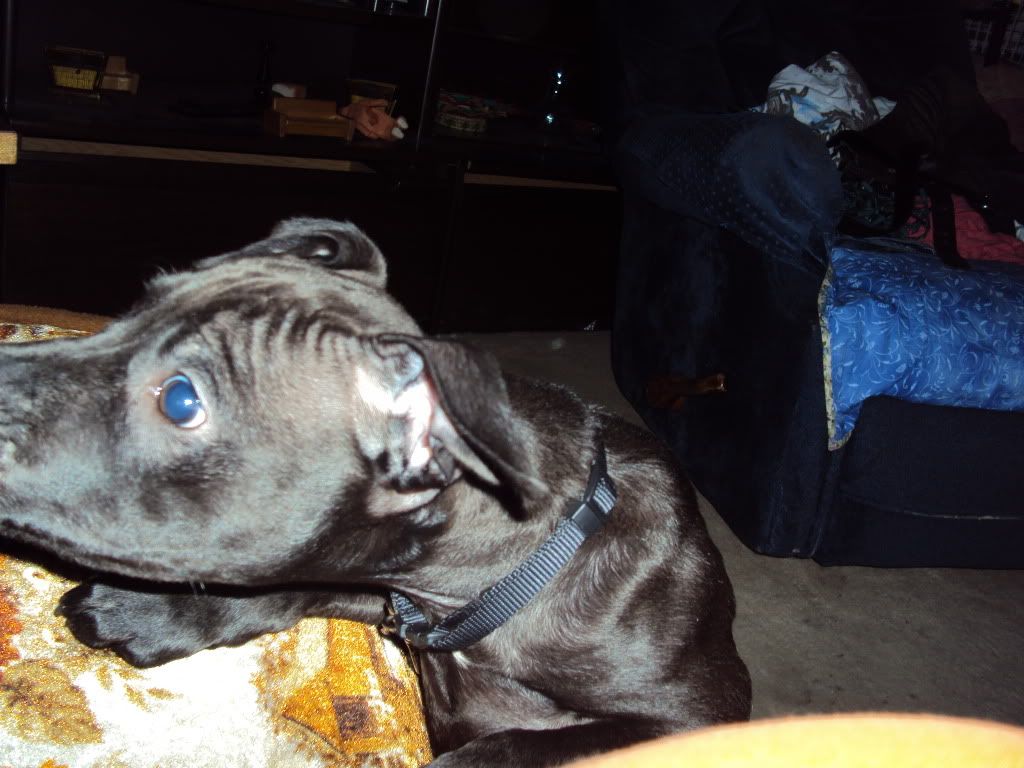 DSC00049.jpg
