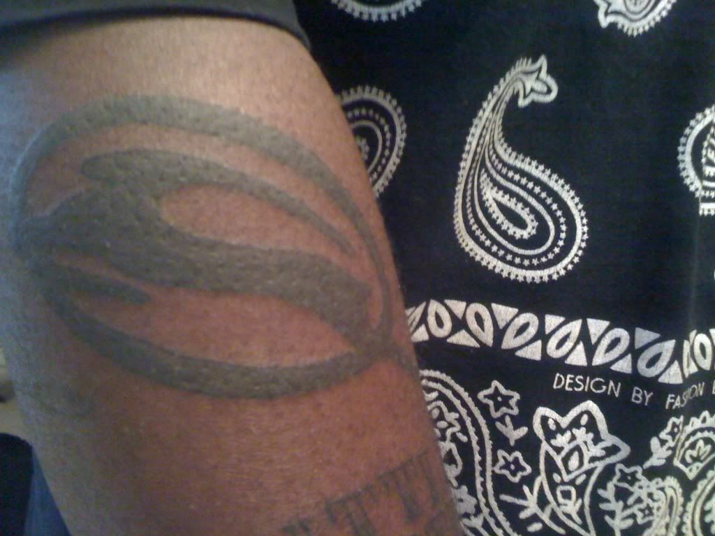 Picture001.jpg