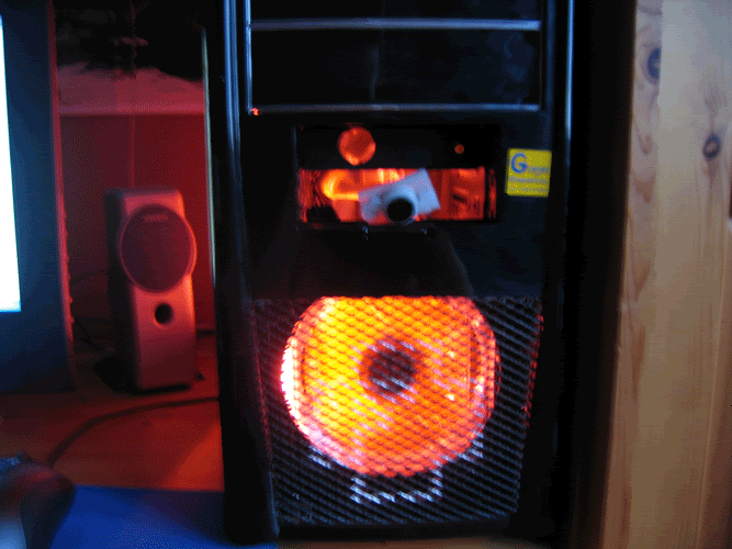 IMG_2234.gif