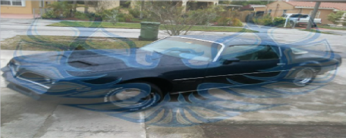 Posted Image